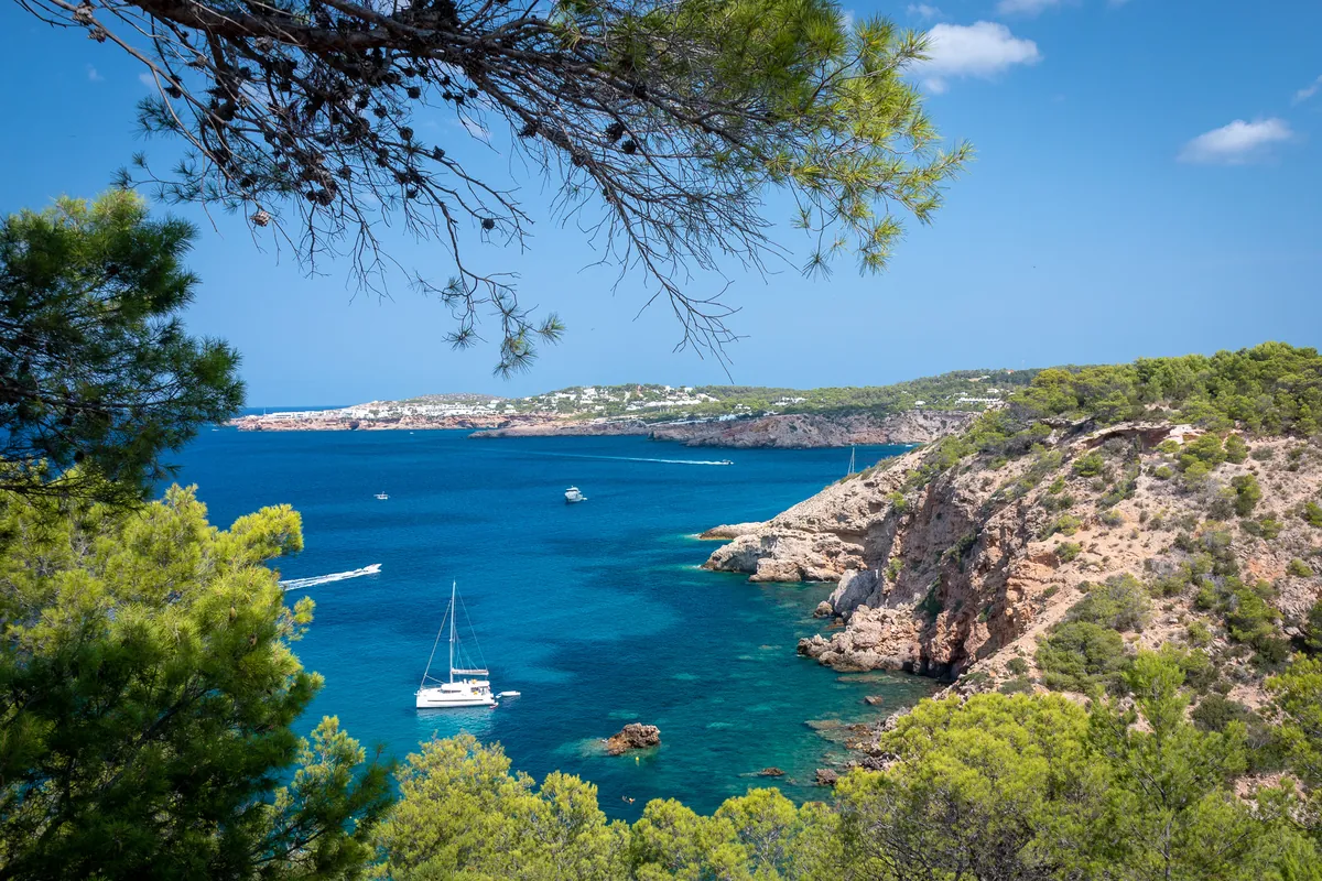 Foto von Cala Molí