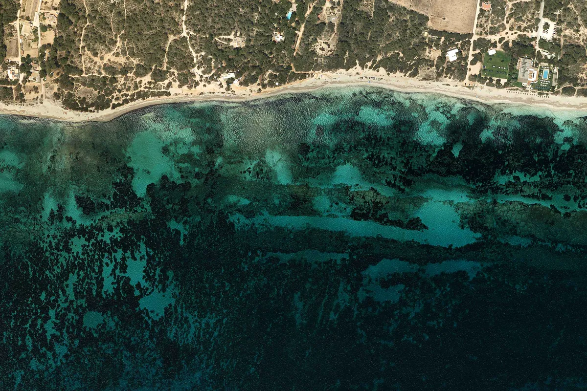 Foto de Platja de Migjorn
